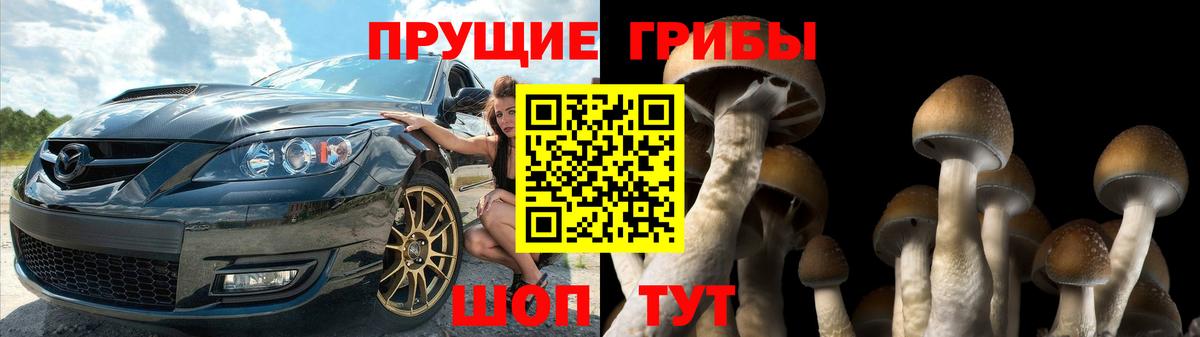 Галлюциногенные грибы MAGIC MUSHROOMS  Галлюциногенные грибы прущие грибы  Вход с VPN  Изобильный 